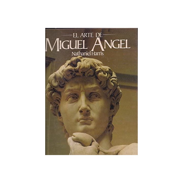 El Arte de Miguel Angel